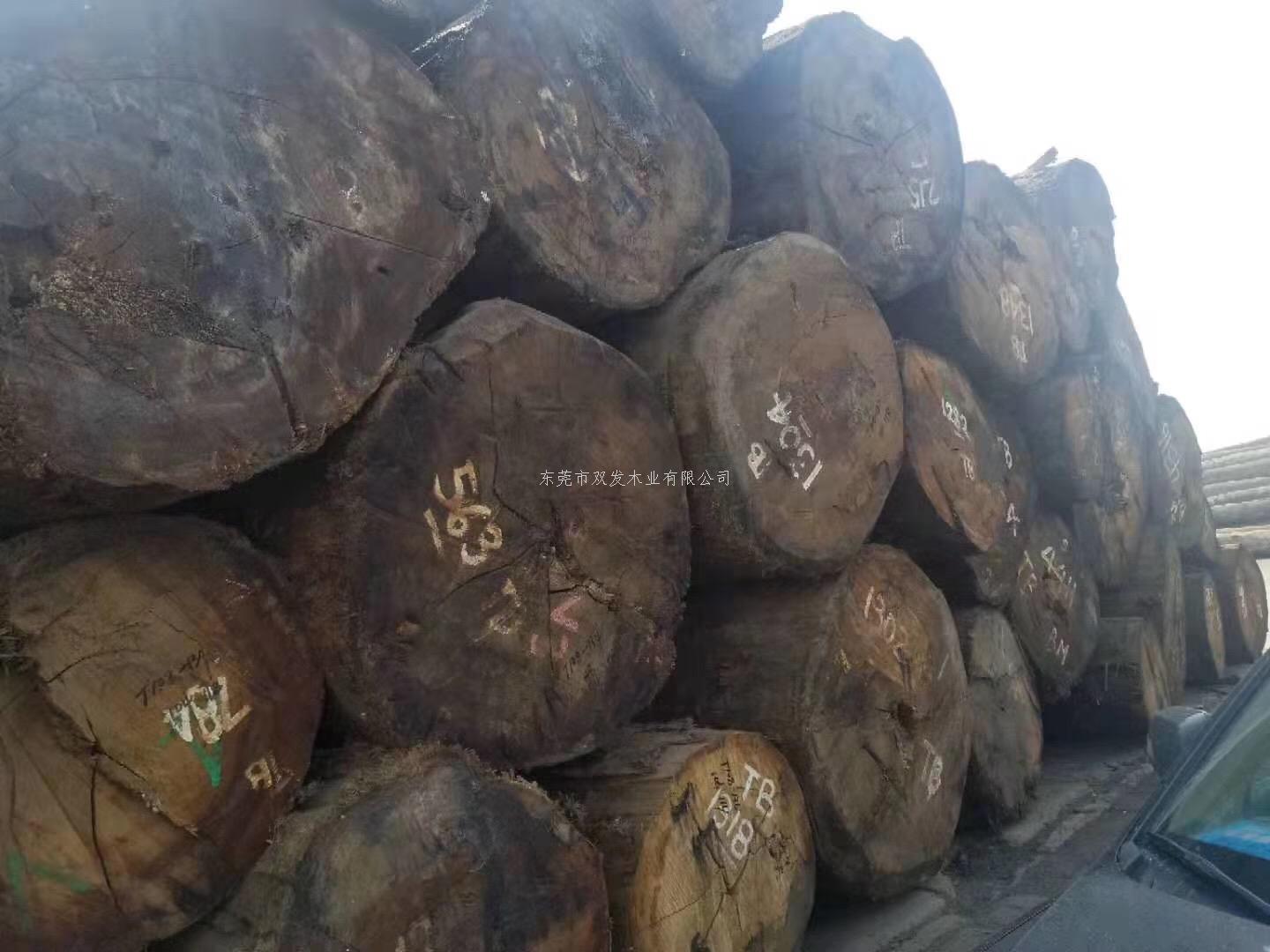 迎7月家具展，雙發(fā)木業(yè)原木加工進行中。。